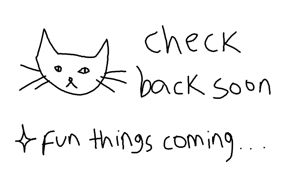 crudely drawn cat with the words 'check back soon, fun things coming'